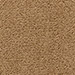 Beech (520)