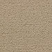 Light Shale (605)