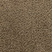Neutral (670)