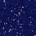 Navy Blues