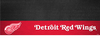 NHL - Detroit Red Wings