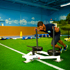 Gym Turf Tiles