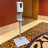 Hand Sanitizer Stand
